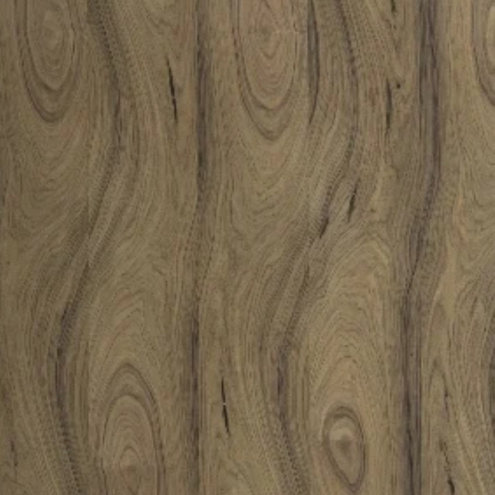 Termite‑Proofing Your Interiors: Smart Material Choices for Bangalore Homes